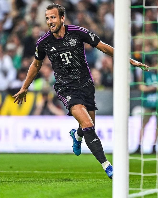 整个赛季的 整个赛季的